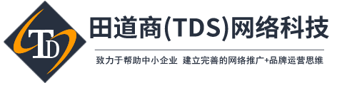 TDS網(wǎng)站logo